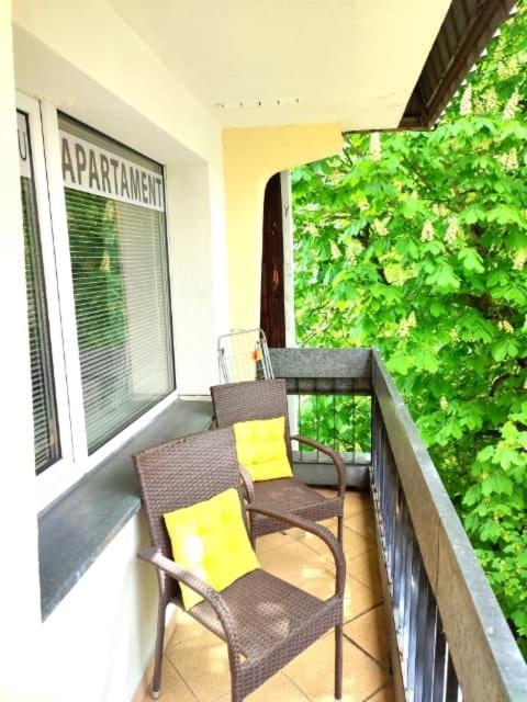 Apartament Biały Miś Centrum Zakopane Exterior foto